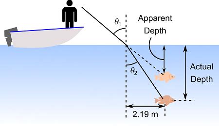 Refraction causes objects submerged in water to appear less deep than ...