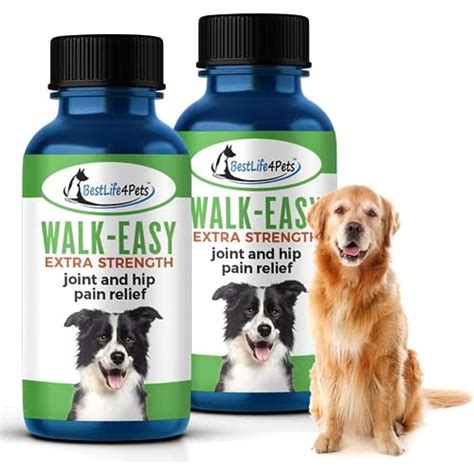 Best Supplements For Dog Hip Dysplasia 2024 - Vet Ranch - We Love Pets