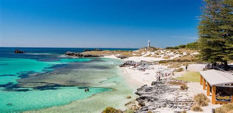 Rottnest Island Travel Guide | Rottnest Island Tourism - KAYAK