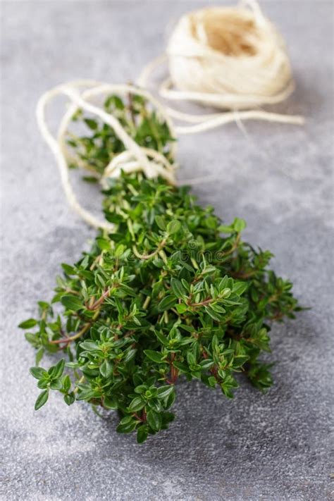 Sprigs of Fresh Organic Thyme Stock Image - Image of organic, fresh: 107246213