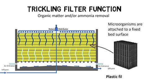 Trickling filter design guideline - How do trickling filters work? - YouTube in 2024 | Filter ...