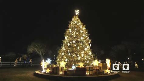 National Christmas Tree in DC now open to the public to visit | wusa9.com