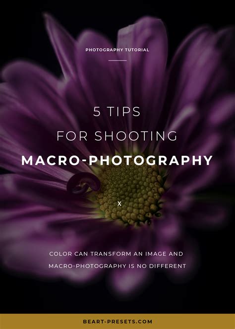 Five tips for shooting macro-photography