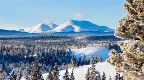 Six of the best winter adventures in the Yukon | loveexploring.com