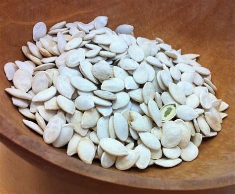 HOW TO COLLECT AND PREPARE PUMPKIN SEEDS FOR GERMINATION |The Garden of Eaden