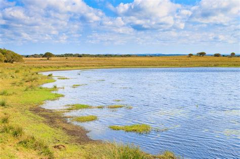 iSimangaliso Wetland Park - Safari Deal