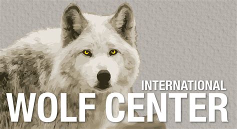 Tour of the International Wolf Center - Perfect Duluth Day