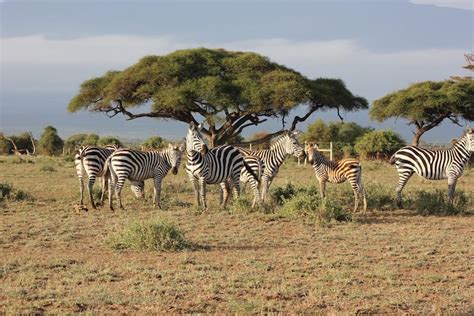 Iconic Sites and Landmarks of Kenya - Demand Africa