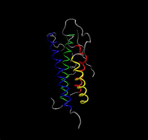 8 Human placental lactogen A structural representation of human ...