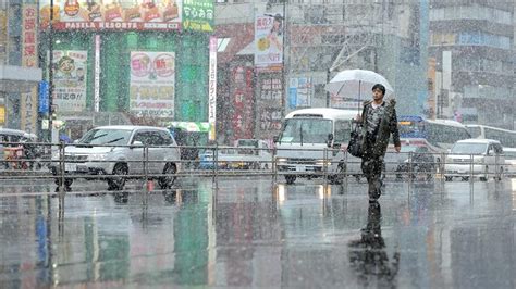 Tokyo sees first November snow accumulation since 1875