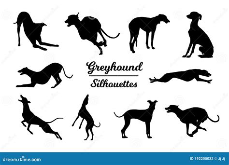 Greyhound dog silhouettes. stock vector. Illustration of nature - 192205032