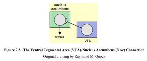 Chapter 7: Reward and Reinforcement – Drugs and Behavior