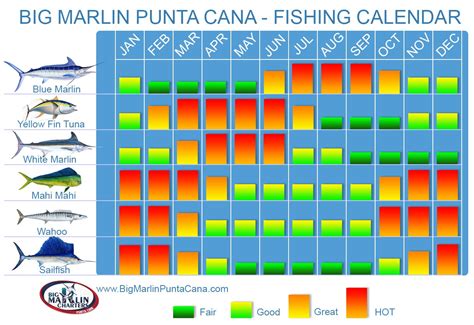 Fishing Calendar Dominican Republic | Deep sea fishing charters in Punta Cana