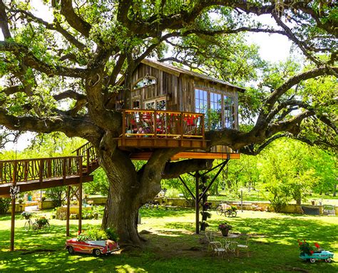 How to Make a Treehouse | Houzz