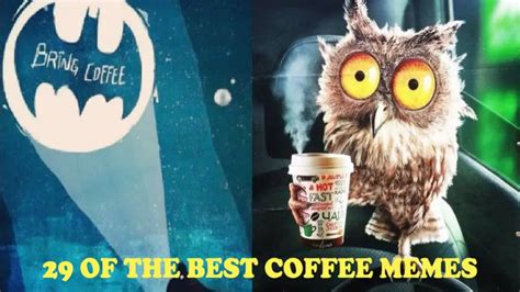 29 Funny Coffee Memes To Keep You Laughing - Craft Coffee Guru