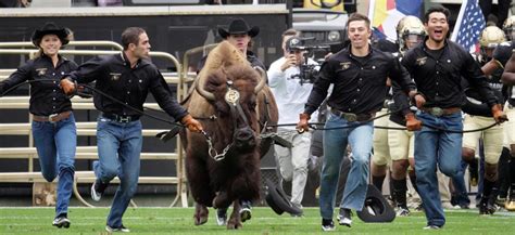 University of Colorado Boulder Football Game-Day Guide