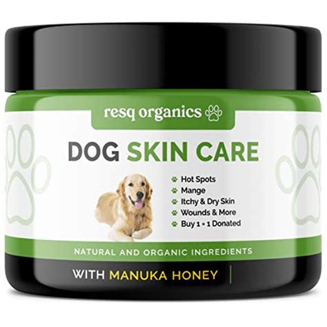 5 Best Remedies for Dogs Dry Skin in Nose, Paws, Coat & Body