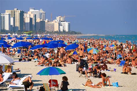 Miami & the Keys, Miami image gallery - Lonely Planet