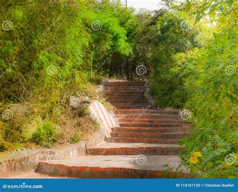 View of the 1001 Steps of the Chamundi Hills, Mysore, Karnataka, India Stock Photo - Image of ...