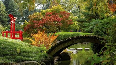 Brooklyn Botanic Garden is hosting a fall foliage outing with live ...