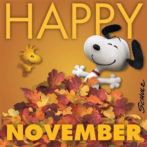 Happy November | Snoopy love, Snoopy, Happy november