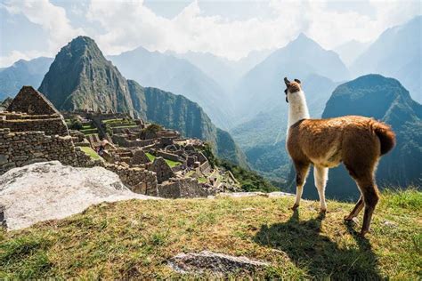 Hiking Machu Picchu: Best Trails, Tours and Tips for Your Next Hike - Thrillist