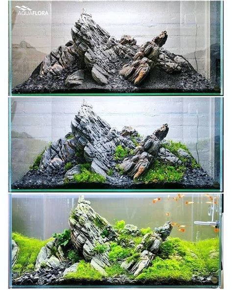 Hardscape | Aquascape, Aquarium landscape, Aquascape design