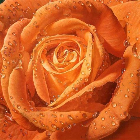 Large-scale Paintings of Roses Covered in Dewdrops Capture Every Small ...