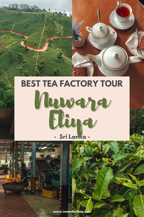 Nuwara Eliya Tea Factory - Great Experience at Damro Tea