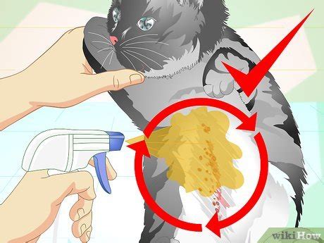 5 Ways to Make an Herbal Flea Remedy for Cats - wikiHow