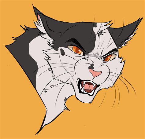 Swiftpaw Warrior Cats Series, Warrior Cats Fan Art, Warrior Cat ...