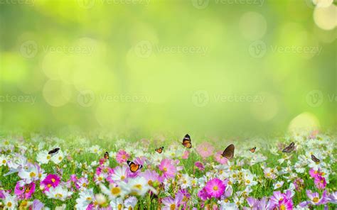 flower Leaf background bokeh blur green background 2603022 Stock Photo at Vecteezy