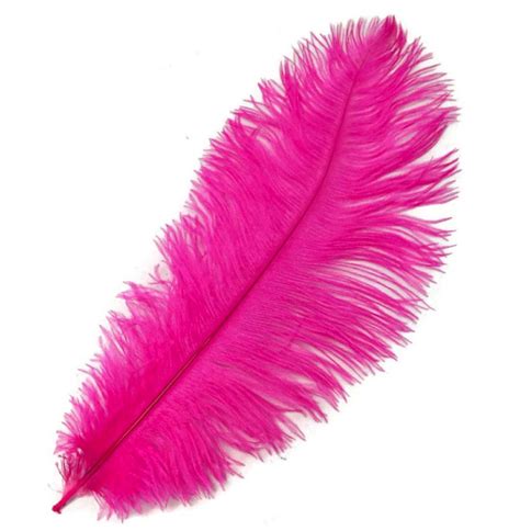 Pink Ostrich Drab Feather