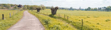 Cycling in Limburg (Netherlands) | The three country border and more!