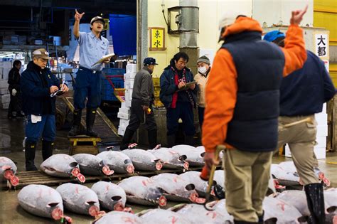 Bluefin tuna goes for ¥4.51 million in Tsukiji's first auction of year | The Japan Times