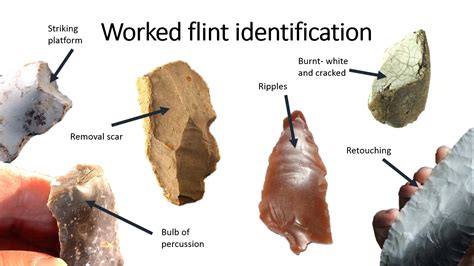 Palaeolithic art adventures with York YAC - Young Archaeologists' Club ...