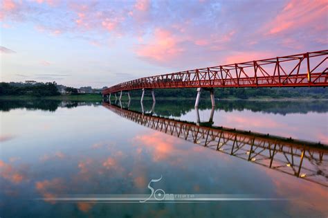 lorong halus wetland - red bridge | Lorong Halus Wet Land, l… | Flickr