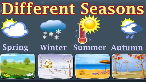 Weather, Different Seasons, Learn About Autumn, Winter, Spring, Summer ...