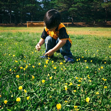 "Little Boy Picking Flowers" by Stocksy Contributor "Lawrence Del Mundo ...