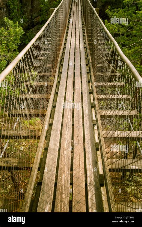 A beautiful hanging bridge in forest of Finland Stock Photo - Alamy