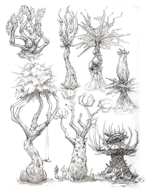plants sketches studies by Fizzyboi on DeviantArt