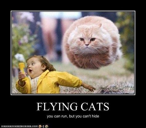 FLYING CATS