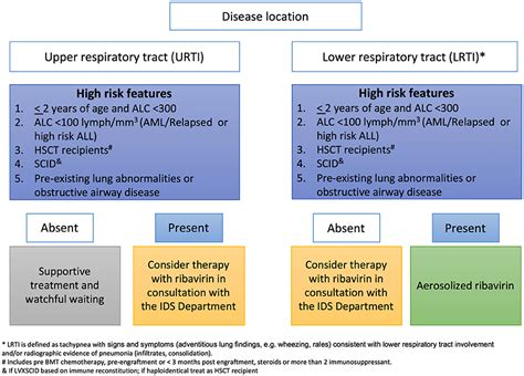 Frontiers | Respiratory Viral Infections in Patients With Cancer or Undergoing Hematopoietic ...