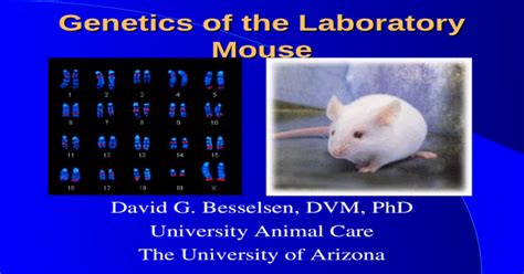 Genetics of the Laboratory Mouse David G. Besselsen, DVM, PhD University Animal Care The ...