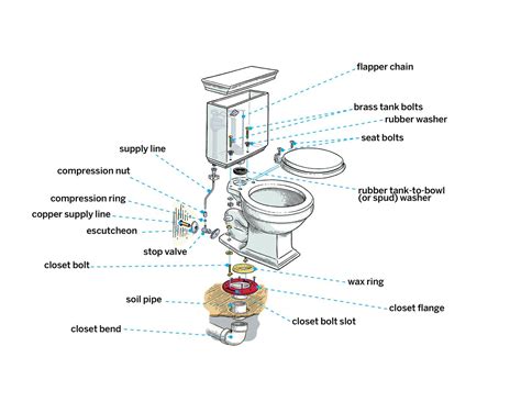 38 Toilet Plumbing Rough In Diagram - Diagram For You