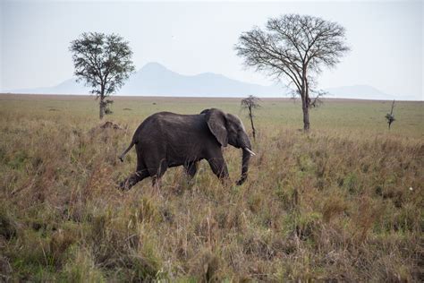 Kidepo Valley National Park - Africa Runners Company