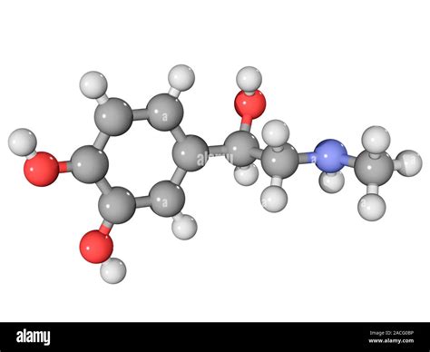 Adrenaline hormone molecule. Molecular model showing the structure of ...