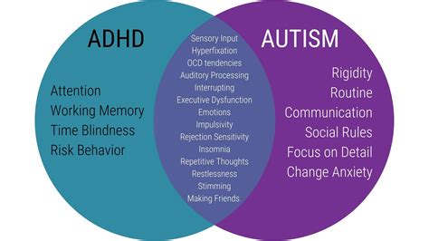 venn diagram adhd autism - SuraajMadleina