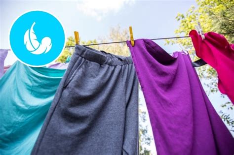 The Top 5 Benefits of Drying Clothes in the Sun