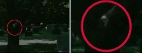 Ghost Photo of the Day: Cemetery Face | Ghosts and Ghouls | Ghost photos, Scary ghost pictures ...